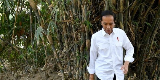 Jokowi Harap Kawasan Industri Batang Buka Lapangan Kerja Baru dan Perkuat Investasi