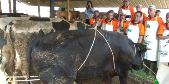 Kemenag Keluarkan Aturan Protokol Kesehatan Salat Idul Adha & Penyembelihan Kurban