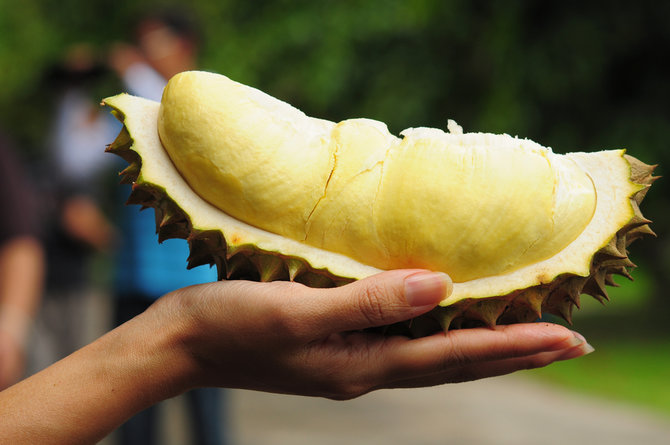 durian