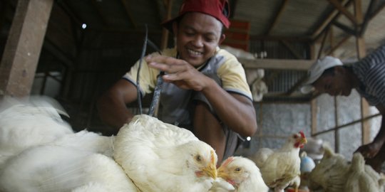 Telur dan Daging Ayam Ras Sumbang Inflasi di Juni 2020