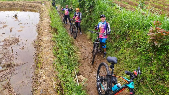 air terjun cisarua