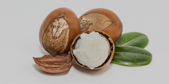 9 Manfaat Shea Butter untuk Kecantikan, Bisa Meringankan Luka Bakar
