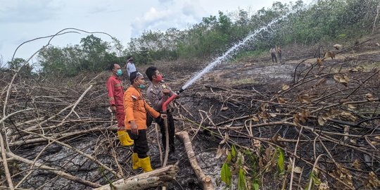 Karhutla Mulai Terlihat di Sumsel, 1 Hektare Lahan Diduga Sengaja Dibakar