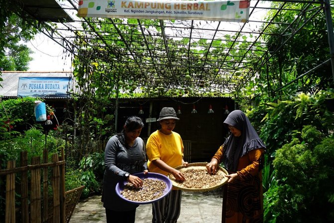 kampung herbal surabaya