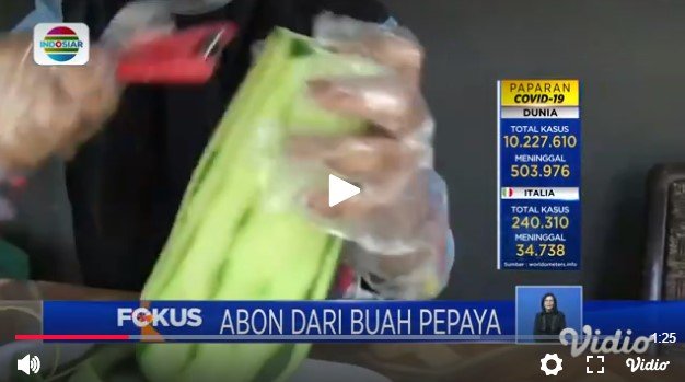 abon pepaya pasuruan