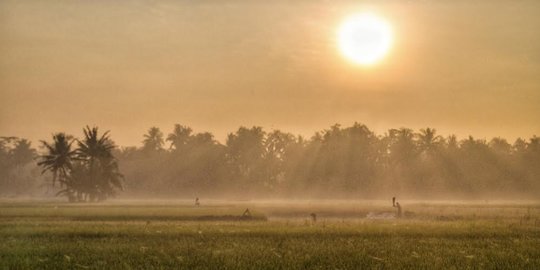 Ketika Pertanian Organik jadi Industri Kreatif Petani Muda