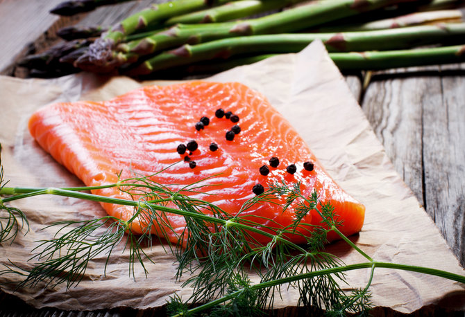 ilustrasi salmon