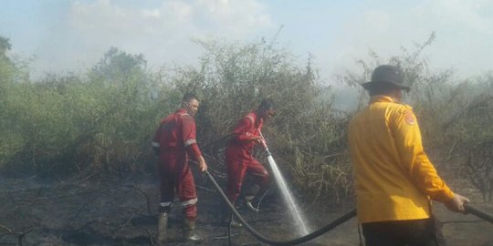 Masuk Musim Kemarau, 11 Embung Dibangun Cegah Karhutla di Banyuasin