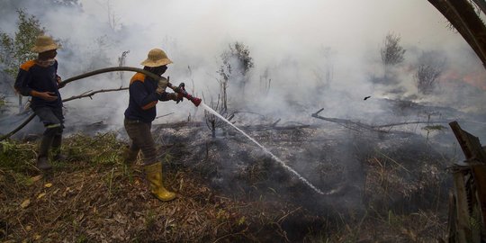 Dewan SDA Nasional Minta Aturan Warga Boleh Bakar Hutan Saat Buka Lahan Direvisi