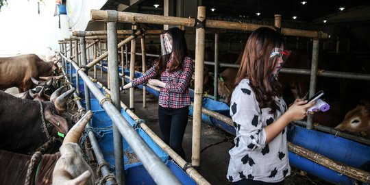 Penerapan Protokol Kesehatan Covid-19 di Tempat Penjualan Hewan Kurban