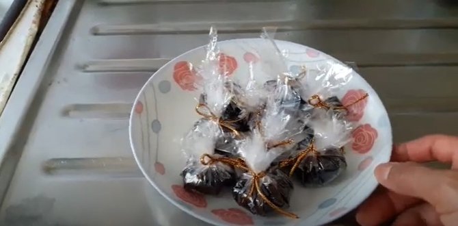 Cara Membuat Kue Madu Mongso Resepcaramemasak Org