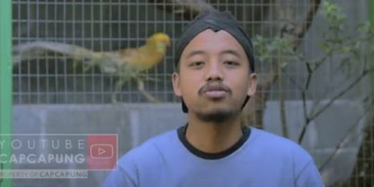 Kisah Sukses Pemuda Sleman Ternak Ayam Pheasant, Omzetnya Ratusan Juta Rupiah