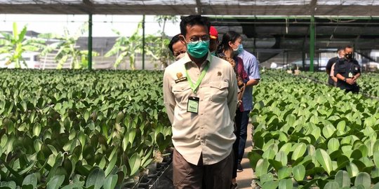 Tingkatkan Budidaya Anggrek, Mentan Dorong Perusahaan Buka Akses Pasar Secara Luas