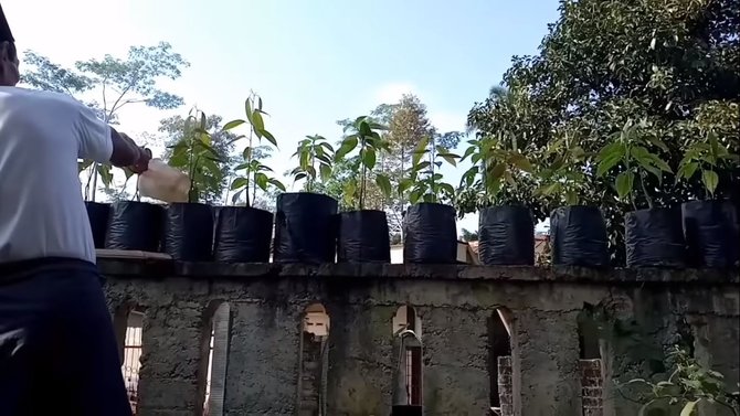 6 potret romantis bu dosen makan di saung bareng suami