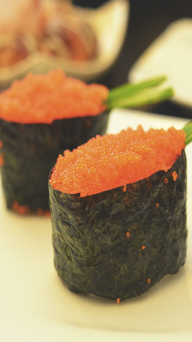 ilustrasi sushi