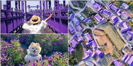 Ini Purple Island Objek Wisata Instagramable Baru di 