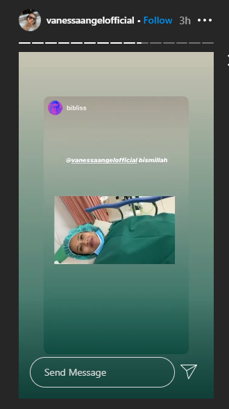 ini potret bayi vanessa angel yang baru lahir