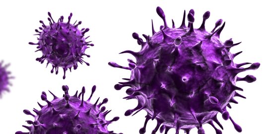 Mengenal Bentuk Virus, dari Variasi Ukuran dan Komposisi Kimiawinya