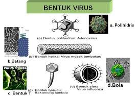 Ukuran virus sangat kecil yaitu 2021