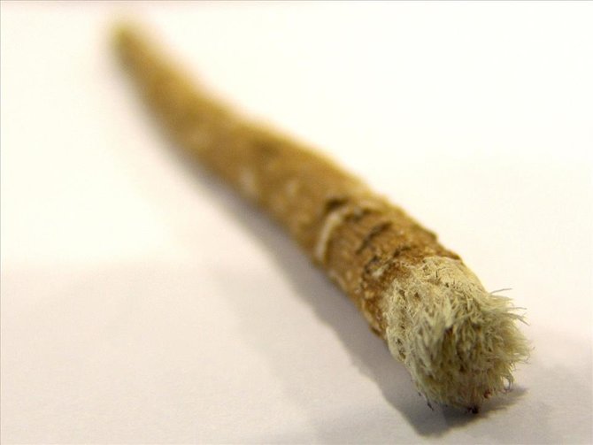 siwak