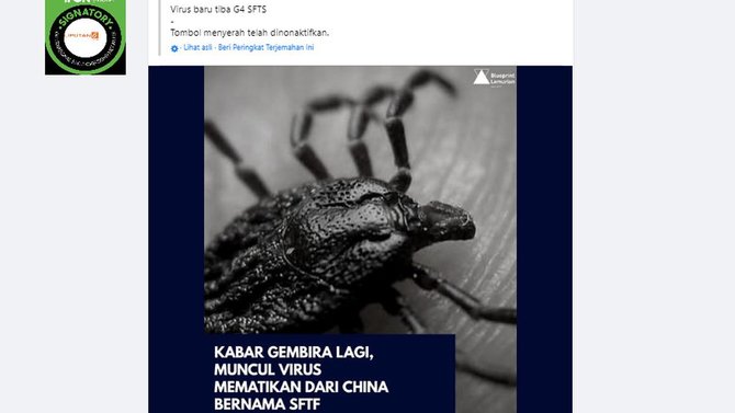 informasi virus baru sfts