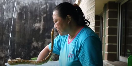 21 Tahun Meneliti Reptil, Wanita Asal Temanggung Ini Ngaku Bisa Bicara dengan Ular