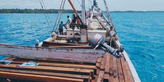 Pelaku Pembalakan Liar di Raja Ampat Ditangkap Penyidik Gakkum KLHK