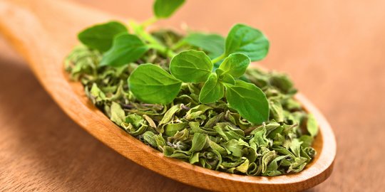 5 Manfaat Minyak Oregano, Bantu Lawan Radikal Bebas dan Antibakteri
