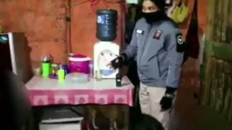 ibu amp anak kandung ini lakukan hubungan badan