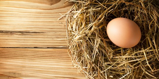 8 Cara Menyuburkan Tanaman Secara Alami, Gunakan Ampas Kopi hingga Cangkang Telur