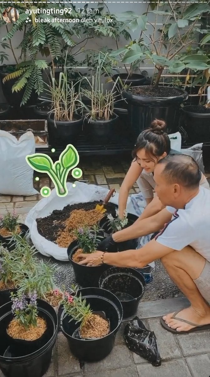 ayu ting ting berkebun