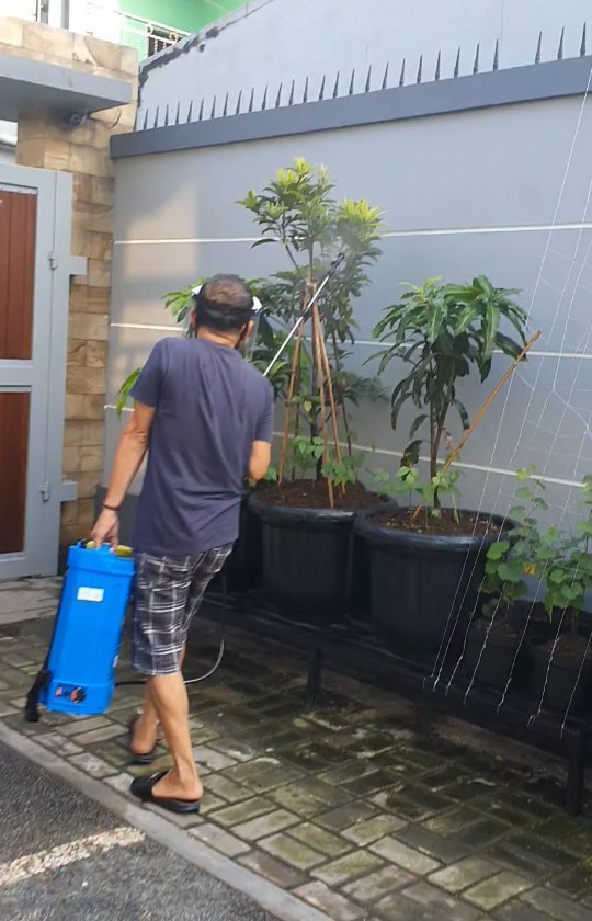 ayu ting ting berkebun