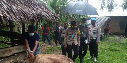 Dua Pelaku Pencurian Hewan Ternak di Agam Diciduk Polisi