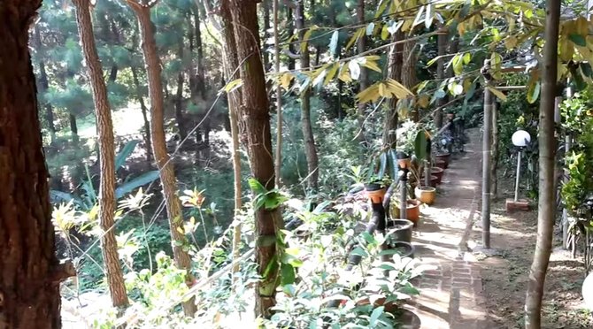 isi rumah rocky gerung