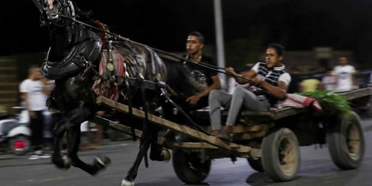 Aksi Pedagang Mesir Unjuk Kekuatan Kudanya Balapan Menarik Kereta