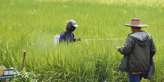 Penghasil Beras Terbesar Kedua di Jatim, Lahan Pertanian di Ngawi Justru Berkurang