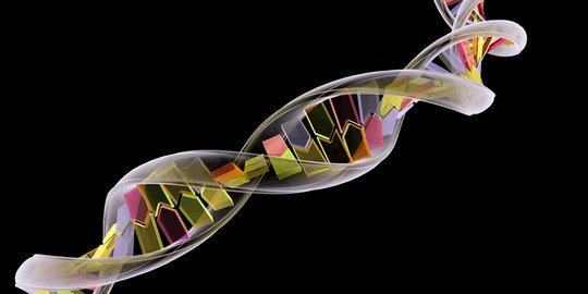 Fungsi DNA pada Penurunan Sifat Beserta Pengertian, Struktur, dan Karakteristiknya