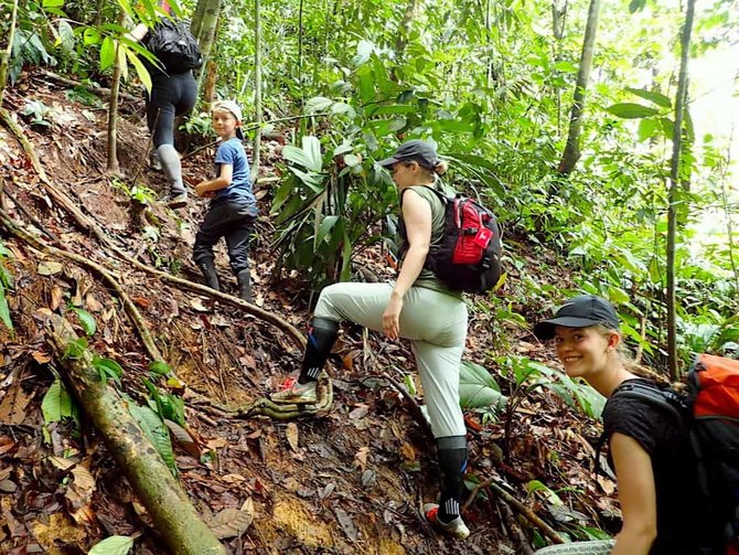 wisata alam seru paket lengkap ini 5 potret bukit lawang yang memesona