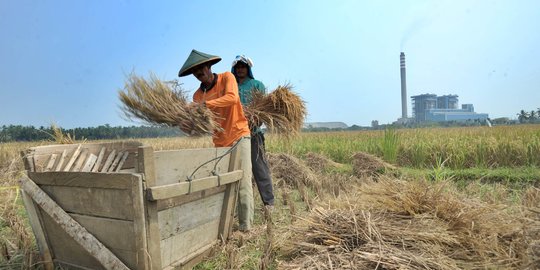 Data Tidak Akurat, Lahan Pertanian di Sumsel Berkurang 150 Ribu Hektare