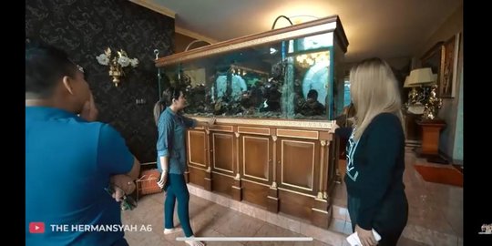 Ashanty Ungkap Harga Fantastis Aquarium Inul Daratista, Anang Sampai Melongo