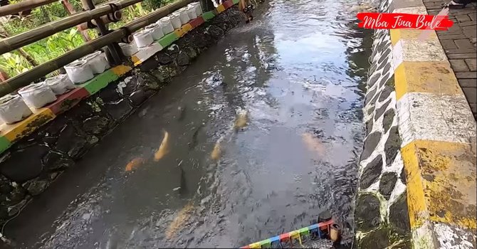 Kampung di Bogor Sungainya Banyak Ikan