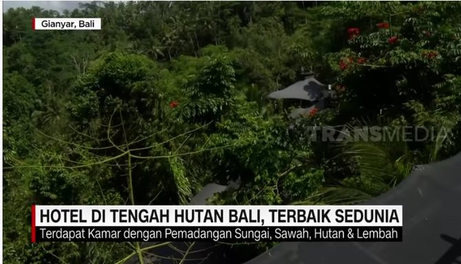 hotel di tengah hutan