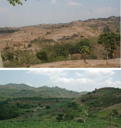 situs patiayam