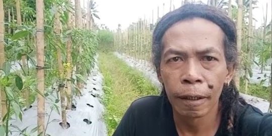 Selain Bernyanyi, Cak Sodiq Kini Sibuk Bertani Sayur