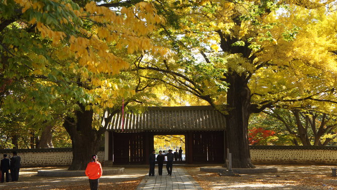 kaesong korea utara