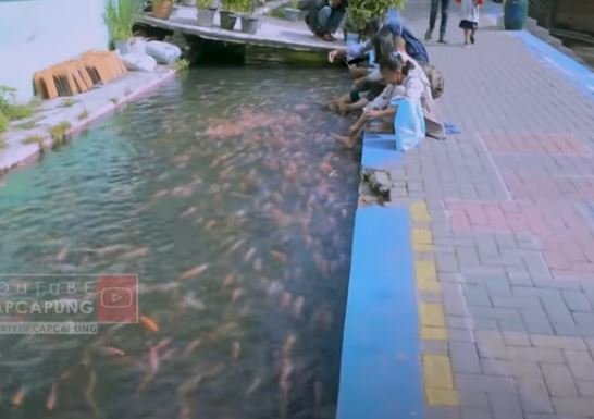 selokan kumuh disulap jadi kolam ikan