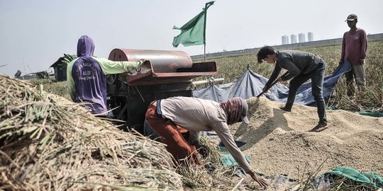 Stok Beras Nasional di Tengah Pandemi