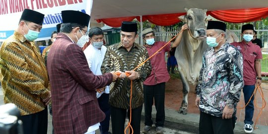 Diwakili Menag, Jokowi Berikan Sapi Kurban Bobot 1 Ton ke Masjid Istiqlal