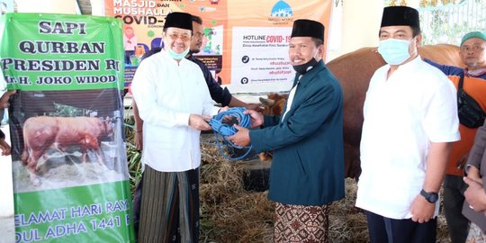 Purnomo Serahkan Sapi Kurban Bantuan Jokowi ke Masjid Agung