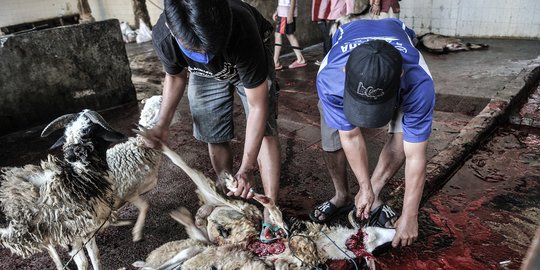 Penyembelihan Hewan Kurban di Tengah Pandemi Covid-19